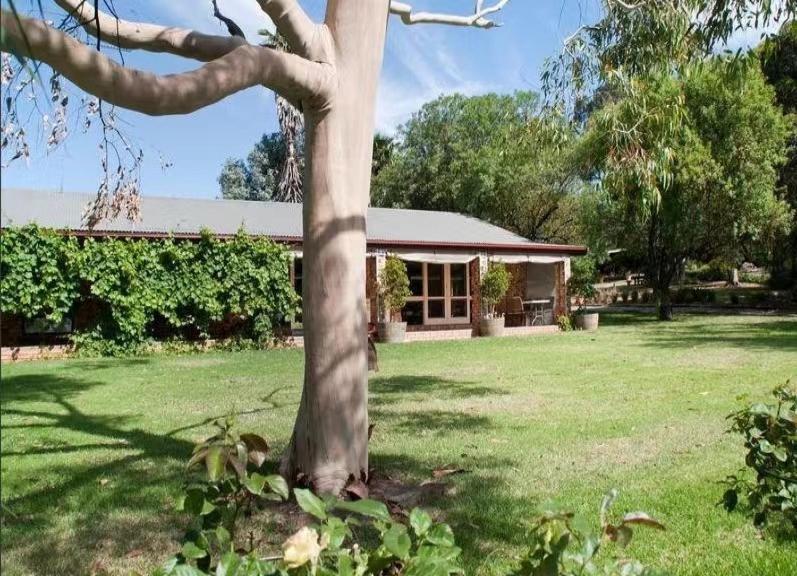 Blickinstal Barossa Valley Accommodation Buitenkant foto