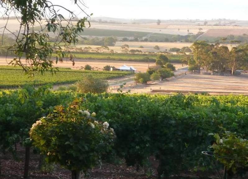 Blickinstal Barossa Valley Accommodation Buitenkant foto