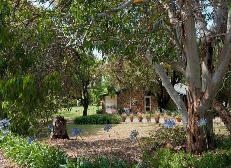 Blickinstal Barossa Valley Accommodation Buitenkant foto