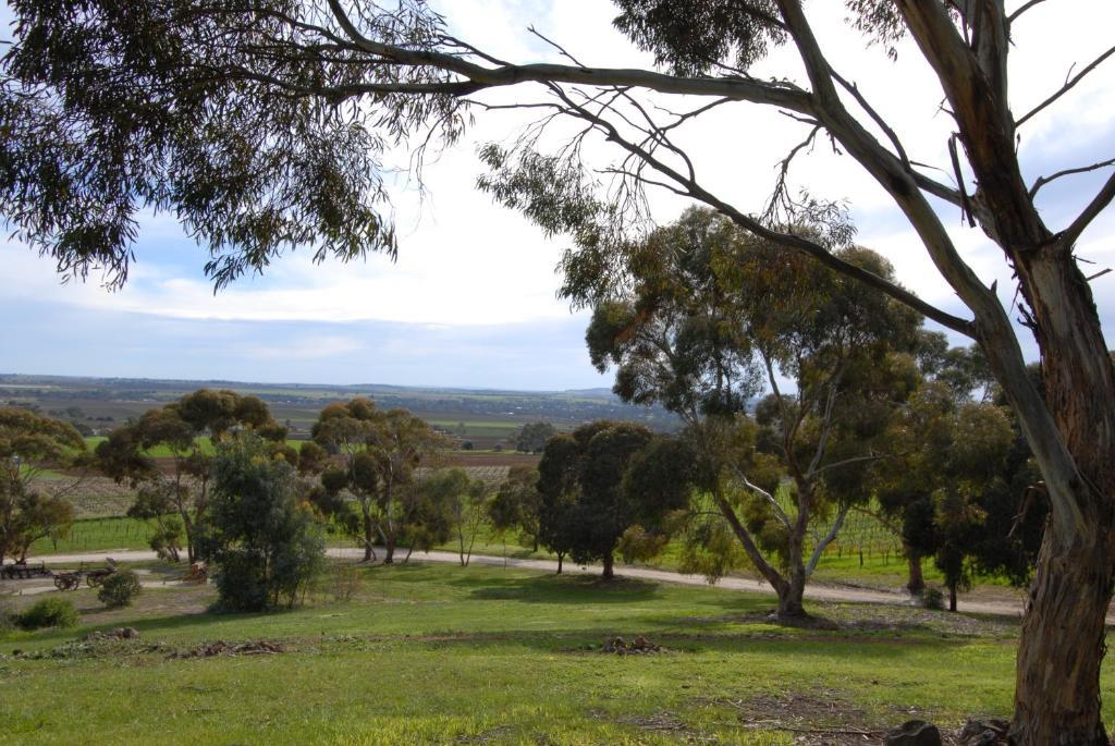 Blickinstal Barossa Valley Accommodation Buitenkant foto