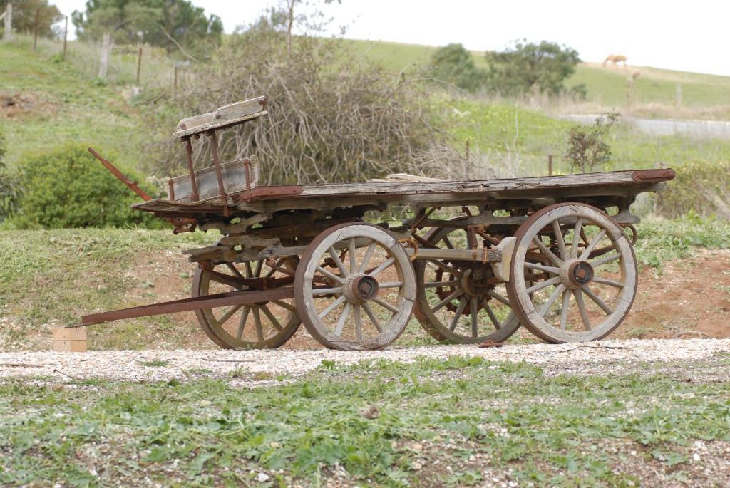 Blickinstal Barossa Valley Accommodation Buitenkant foto