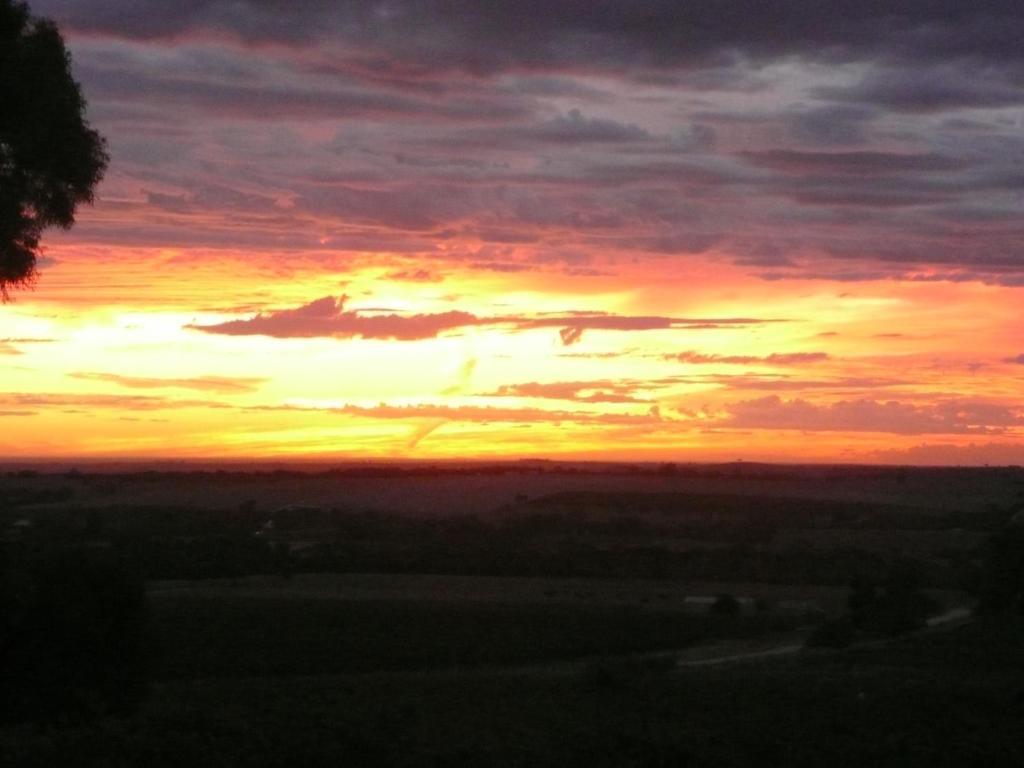 Blickinstal Barossa Valley Accommodation Buitenkant foto