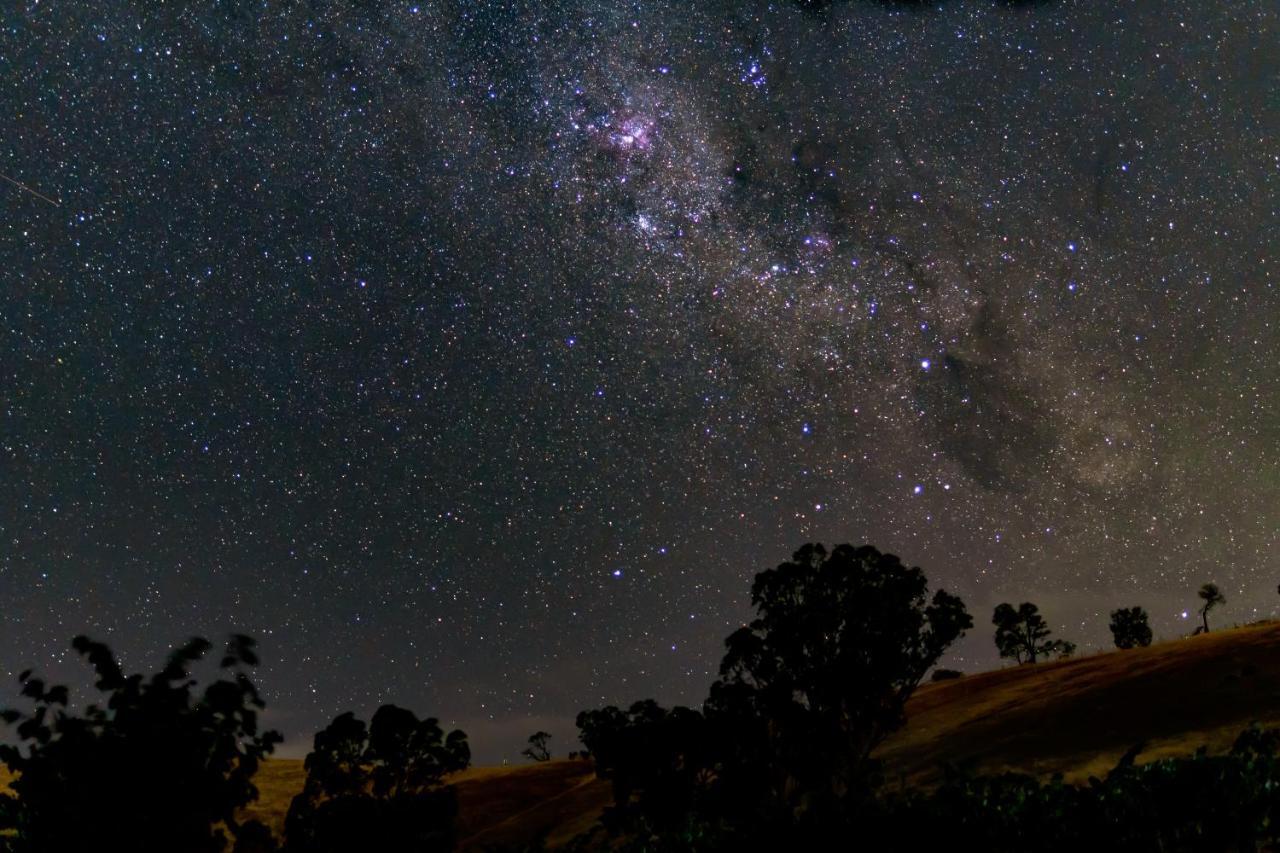 Blickinstal Barossa Valley Accommodation Buitenkant foto